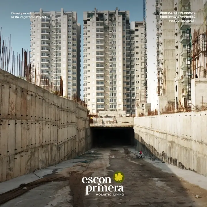 Escon Primera Gallery View 3