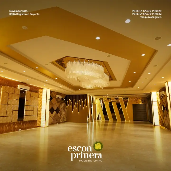 Escon Primera Gallery View 7