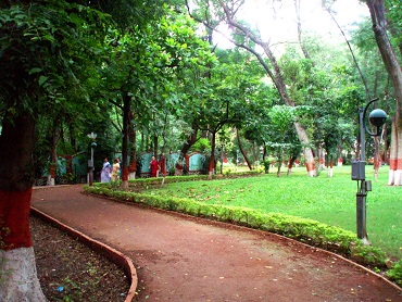 Lush green parks